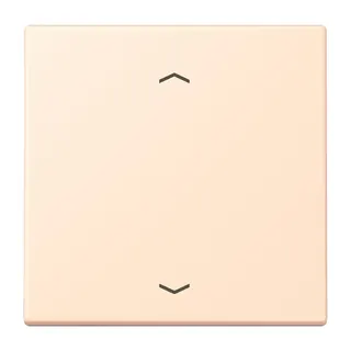 Jung Wippe 1fach, mit Pfeilsymbolen, Serie LS, terre sienne pâle LC990P238