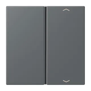 Jung Taste 1fach, mit Pfeilsymbolen, F40, Serie LS, gris foncé 31 LC401TSAP202