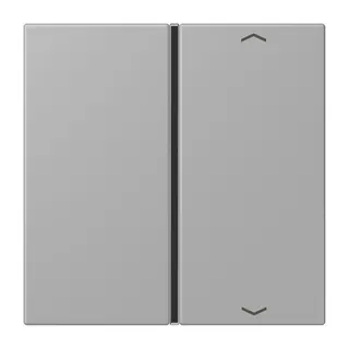 Jung Taste 1fach, mit Pfeilsymbolen, F40, Serie LS, gris moyen LC401TSAP204