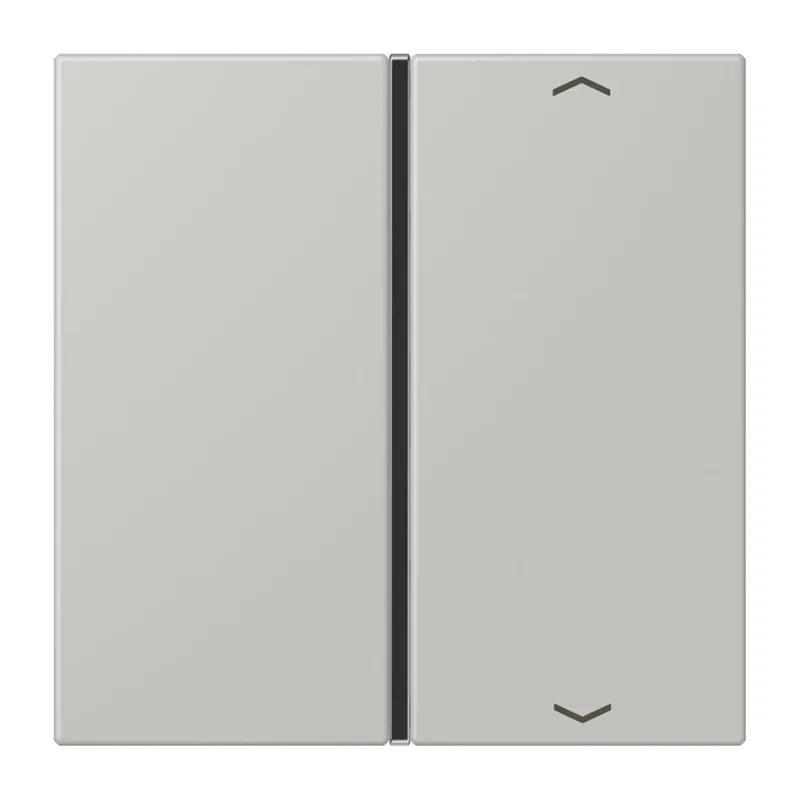 Jung Taste 1fach, mit Pfeilsymbolen, F40, Serie LS, gris clair 31 LC401TSAP205