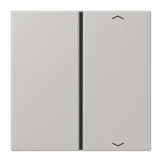 Jung Taste 1fach, mit Pfeilsymbolen, F40, Serie LS, gris clair 31 LC401TSAP205