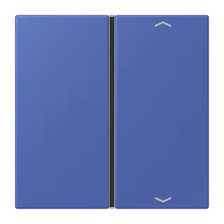 Jung Taste 1fach, mit Pfeilsymbolen, F40, Serie LS, bleu outremer 31 LC401TSAP206