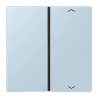 Jung Taste 1fach, mit Pfeilsymbolen, F40, Serie LS, outremerclair LC401TSAP208