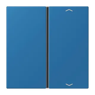 Jung Taste 1fach, mit Pfeilsymbolen, F40, Serie LS, bleu céruléen 31 LC401TSAP211