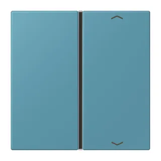 Jung Taste 1fach, mit Pfeilsymbolen, F40, Serie LS, céruléen vif LC401TSAP212