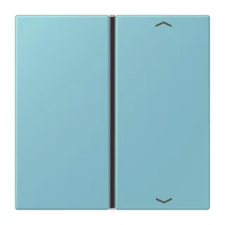 Jung Taste 1fach, mit Pfeilsymbolen, F40, Serie LS, céruléen moyen LC401TSAP213