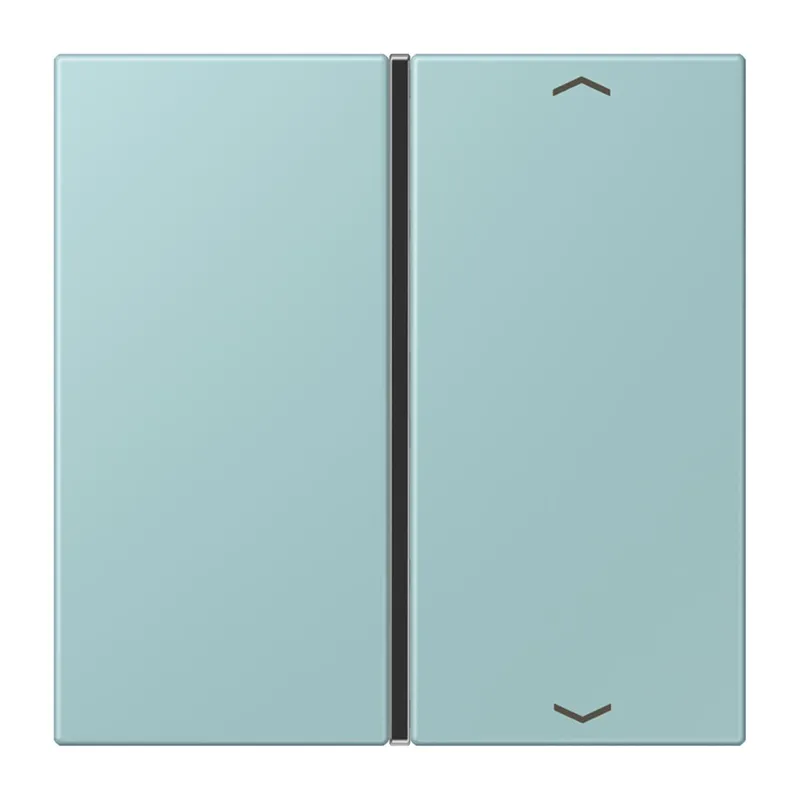 Jung Taste 1fach, mit Pfeilsymbolen, F40, Serie LS, céruléen clair LC401TSAP214