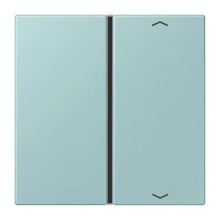 Jung Taste 1fach, mit Pfeilsymbolen, F40, Serie LS, céruléen clair LC401TSAP214