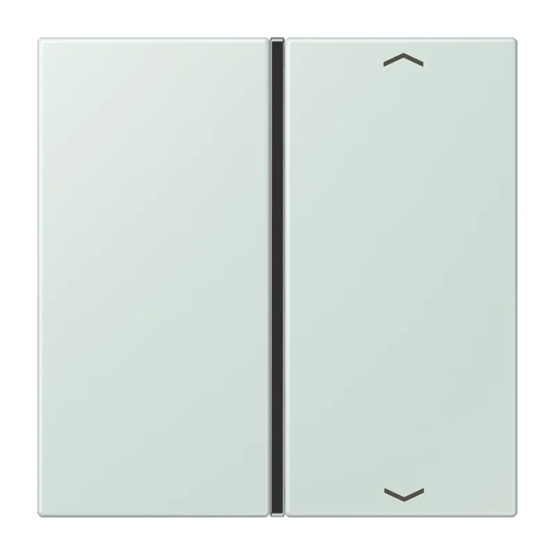Jung Taste 1fach, mit Pfeilsymbolen, F40, Serie LS, céruléen pale LC401TSAP215