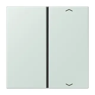 Jung Taste 1fach, mit Pfeilsymbolen, F40, Serie LS, céruléen pale LC401TSAP215
