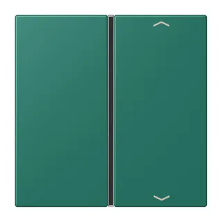 Jung Taste 1fach, mit Pfeilsymbolen, F40, Serie LS, vert anglais LC401TSAP216