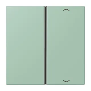 Jung Taste 1fach, mit Pfeilsymbolen, F40, Serie LS, vert anglais clair LC401TSAP217
