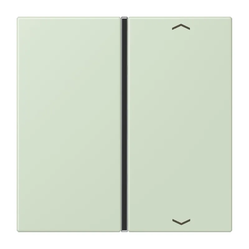 Jung Taste 1fach, mit Pfeilsymbolen, F40, Serie LS, vert anglâis pale LC401TSAP218