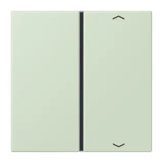 Jung Taste 1fach, mit Pfeilsymbolen, F40, Serie LS, vert anglâis pale LC401TSAP218