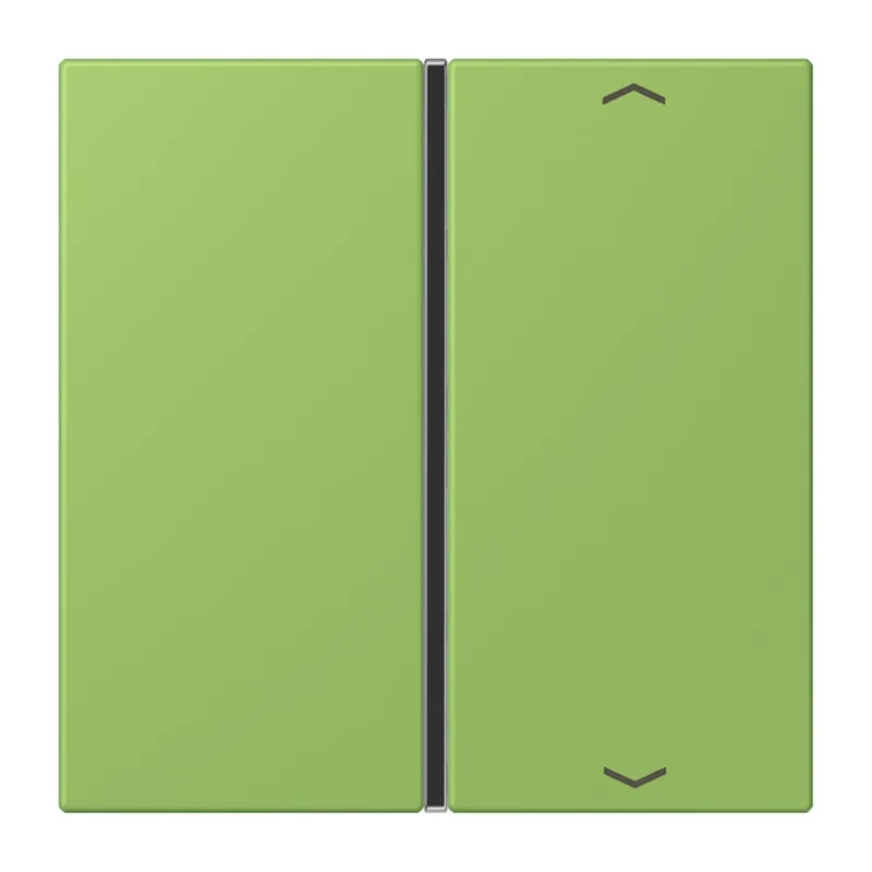 Jung Taste 1fach, mit Pfeilsymbolen, F40, Serie LS, vert 31 LC401TSAP220