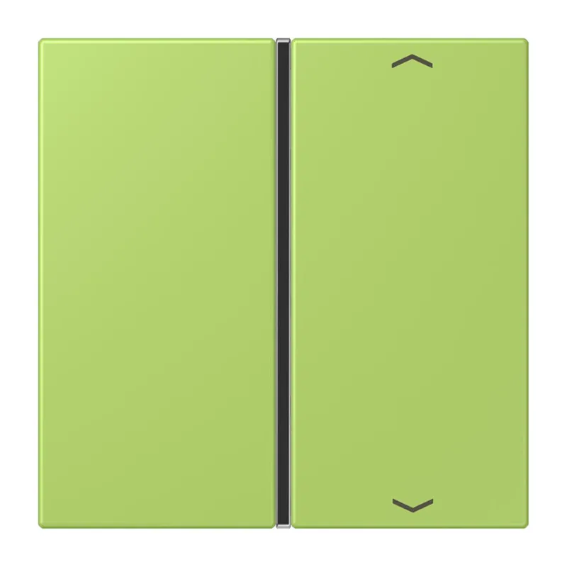 Jung Taste 1fach, mit Pfeilsymbolen, F40, Serie LS, vert clair LC401TSAP221
