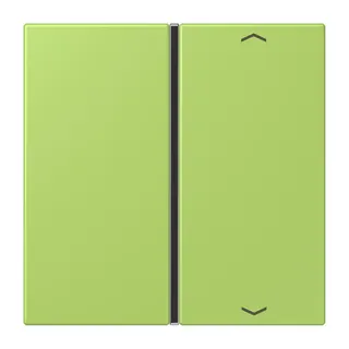 Jung Taste 1fach, mit Pfeilsymbolen, F40, Serie LS, vert clair LC401TSAP221