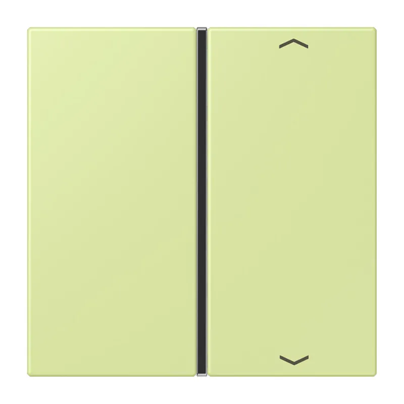 Jung Taste 1fach, mit Pfeilsymbolen, F40, Serie LS, vert jaune clair LC401TSAP222