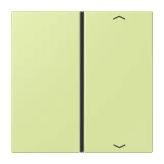 Jung Taste 1fach, mit Pfeilsymbolen, F40, Serie LS, vert jaune clair LC401TSAP222