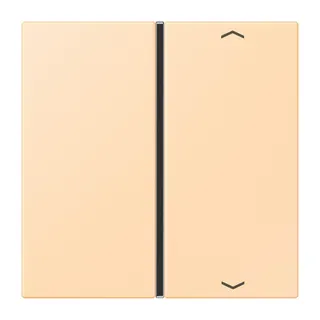 Jung Taste 1fach, mit Pfeilsymbolen, F40, Serie LS, ocre LC401TSAP223