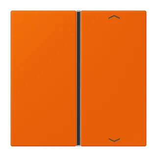 Jung Taste 1fach, mit Pfeilsymbolen, F40, Serie LS, orange LC401TSAP224