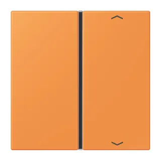 Jung Taste 1fach, mit Pfeilsymbolen, F40, Serie LS, orange clair LC401TSAP225