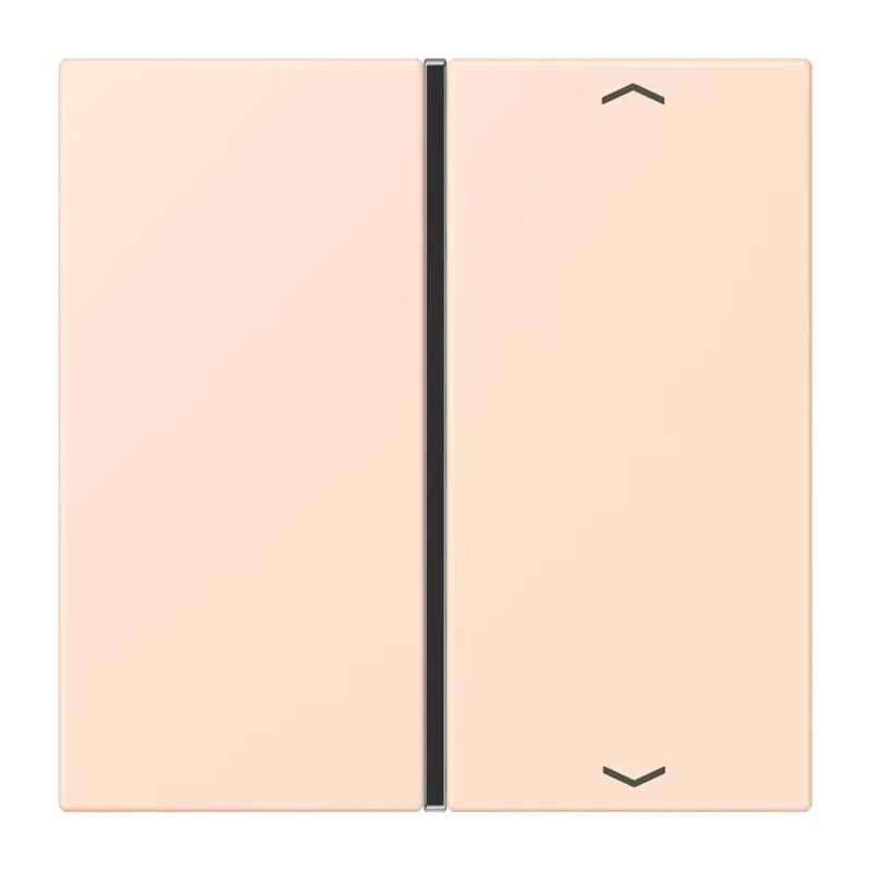 Jung Taste 1fach, mit Pfeilsymbolen, F40, Serie LS, orange pâle LC401TSAP226