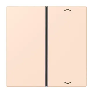 Jung Taste 1fach, mit Pfeilsymbolen, F40, Serie LS, orange pâle LC401TSAP226