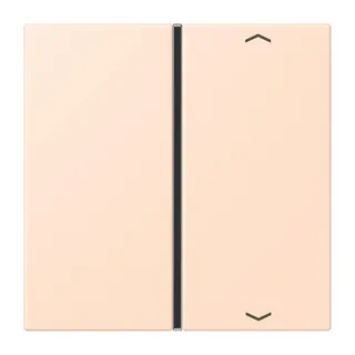 Jung Taste 1fach, mit Pfeilsymbolen, F40, Serie LS, rose pâle LC401TSAP228