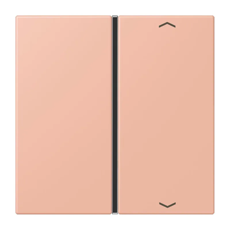Jung Taste 1fach, mit Pfeilsymbolen, F40, Serie LS, rose clair LC401TSAP231