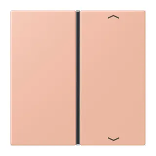 Jung Taste 1fach, mit Pfeilsymbolen, F40, Serie LS, rose clair LC401TSAP231