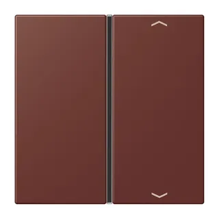 Jung Taste 1fach, mit Pfeilsymbolen, F40, Serie LS, terre sienne br?lée 31 LC401TSAP235