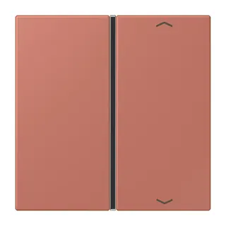 Jung Taste 1fach, mit Pfeilsymbolen, F40, Serie LS, terre sienne brique LC401TSAP236