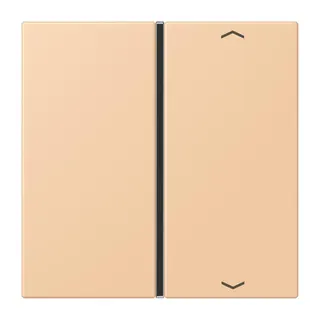 Jung Taste 1fach, mit Pfeilsymbolen, F40, Serie LS, terre sienne claire 31 LC401TSAP237