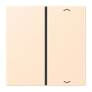 Jung Taste 1fach, mit Pfeilsymbolen, F40, Serie LS, terre sienne pâle LC401TSAP238