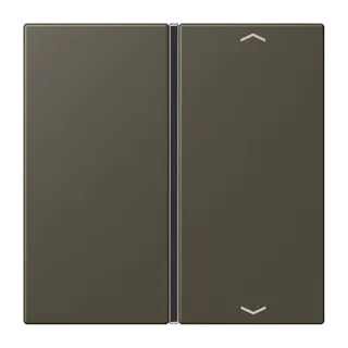 Jung Taste 1fach, mit Pfeilsymbolen, F40, Serie LS, ombre naturelle 31 LC401TSAP241