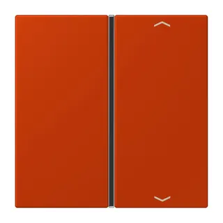 Jung Taste 1fach, mit Pfeilsymbolen, F40, Serie LS, rouge vermillon 59 LC401TSAP244