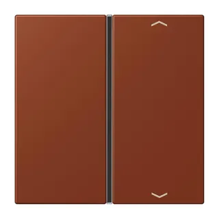 Jung Taste 1fach, mit Pfeilsymbolen, F40, Serie LS, terre sienne br?lée 59 LC401TSAP247