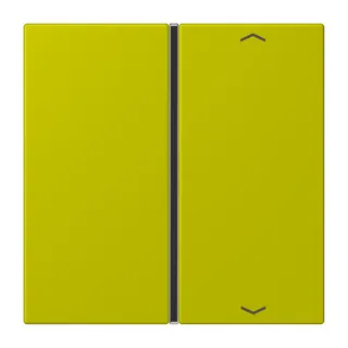 Jung Taste 1fach, mit Pfeilsymbolen, F40, Serie LS, vert olive vif LC401TSAP249