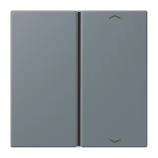 Jung Taste 1fach, mit Pfeilsymbolen, F40, Serie LS, gris 59 LC401TSAP251