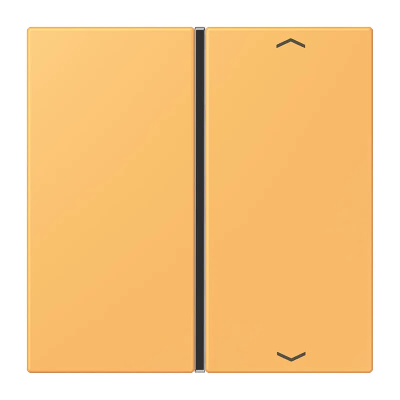 Jung Taste 1fach, mit Pfeilsymbolen, F40, Serie LS, ocre jaune clair LC401TSAP254