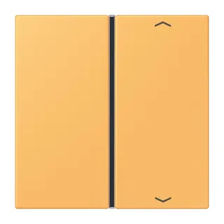 Jung Taste 1fach, mit Pfeilsymbolen, F40, Serie LS, ocre jaune clair LC401TSAP254