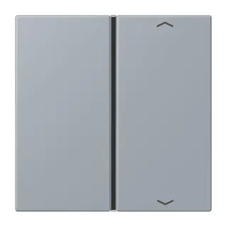 Jung Taste 1fach, mit Pfeilsymbolen, F40, Serie LS, gris clair 59 LC401TSAP257