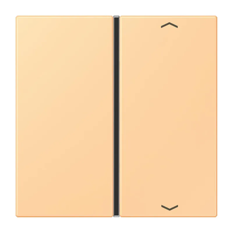 Jung Taste 1fach, mit Pfeilsymbolen, F40, Serie LS, terre sienne claire 59 LC401TSAP258