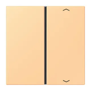 Jung Taste 1fach, mit Pfeilsymbolen, F40, Serie LS, terre sienne claire 59 LC401TSAP258