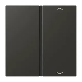 Jung Taste 1fach, mit Pfeilsymbolen, F40, Serie LS, ombre naturelle 59 LC401TSAP259