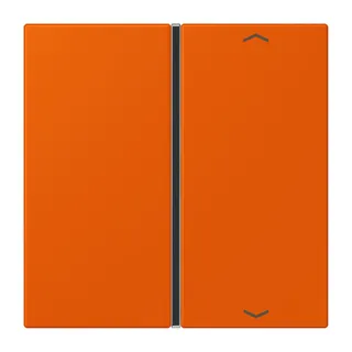 Jung Taste 1fach, mit Pfeilsymbolen, F40, Serie LS, orange vif LC401TSAP260