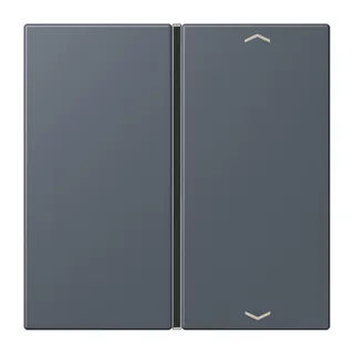 Jung Taste 1fach, mit Pfeilsymbolen, F40, Serie LS, gris fonce 59 LC401TSAP262