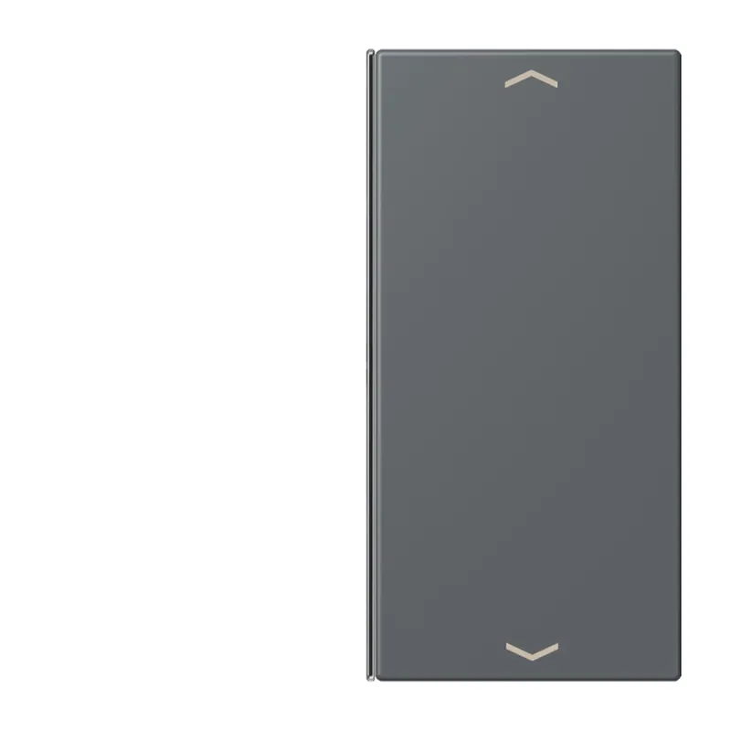 Jung Taste 2fach, mit Pfeilsymbolen, F40, Serie LS, gris foncé 31 LC402TSAP202