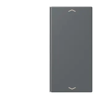 Jung Taste 2fach, mit Pfeilsymbolen, F40, Serie LS, gris foncé 31 LC402TSAP202